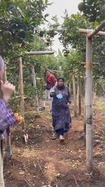 Jarang terekspos, ini 7 potret kebun jeruk milik Lesty Kejora