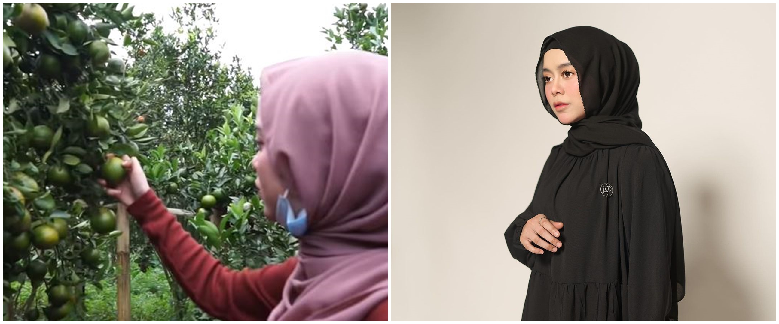 Jarang terekspos, ini 7 potret kebun jeruk milik Lesty Kejora