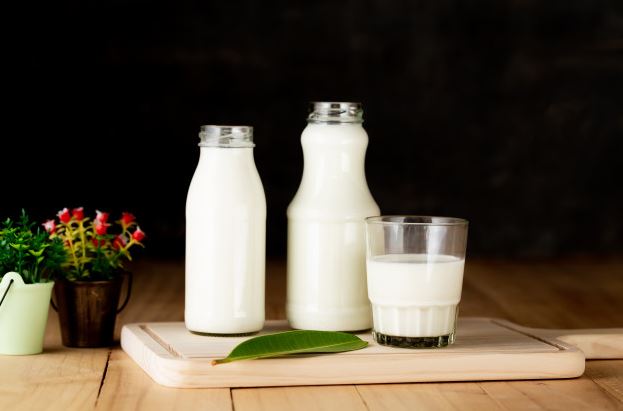 5 Tips merebus susu sapi agar tidak pecah, nutrisi tetap terjaga