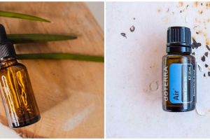 9 Manfaat tea tree oil untuk kecantikan, ampuh atasi jerawat