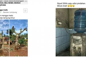 10 Barang nyeleneh dijual online ini bikin malas beli