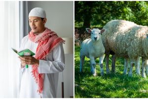 5 Syarat menjadi shohibul qurban dan manfaat yang diperoleh