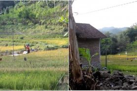 Warga desa di Kebumen ini 'haram' jual nasi, alasannya bikin salut