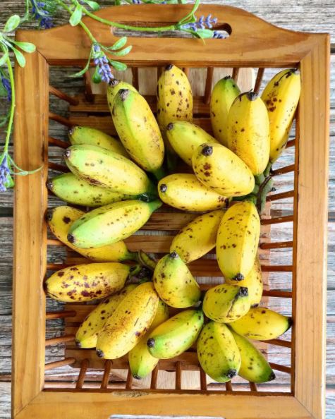 5 Jenis pisang dan khasiatnya bagi tubuh, bantu penuhi nutrisi