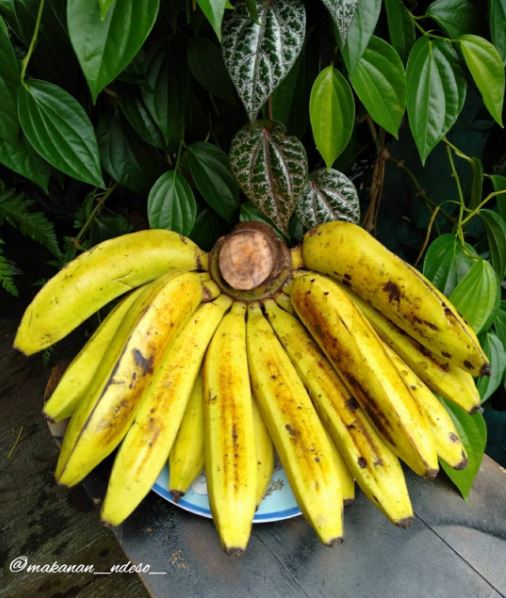 5 Jenis pisang dan khasiatnya bagi tubuh, bantu penuhi nutrisi