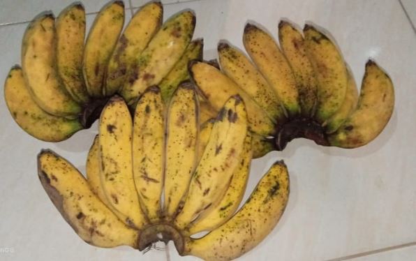 5 Jenis pisang dan khasiatnya bagi tubuh, bantu penuhi nutrisi