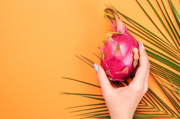 5 Cara memilih buah naga manis dan segar, jangan asal pilih