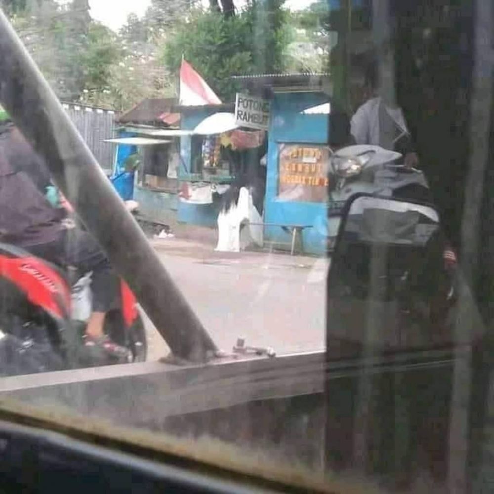 20 Momen kocak tak sengaja terekam kamera ini bikin mata terkecoh