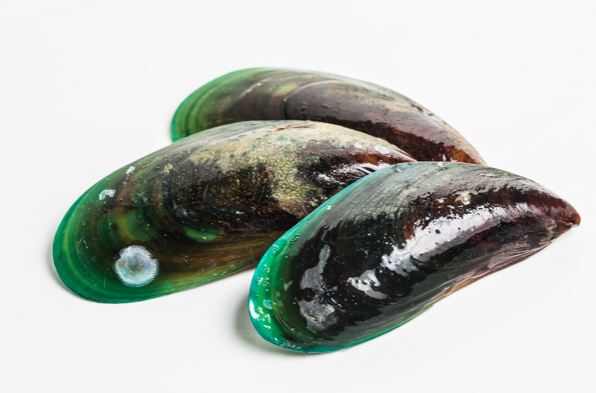 5 Cara tepat mengolah kerang, dijamin bau amis & lumpur hilang