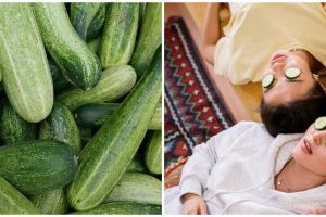 11 Manfaat mentimun untuk kesehatan, bisa cegah diabetes