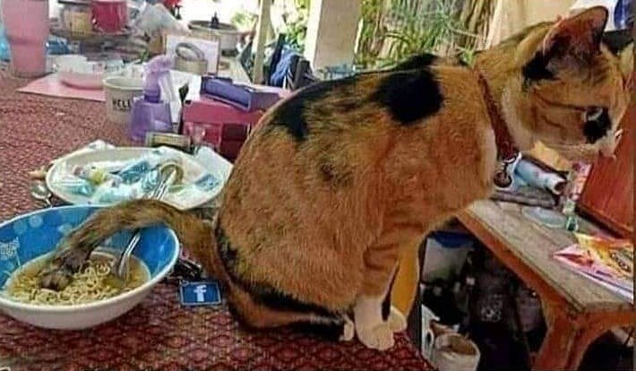 10 Potret lucu asal taruh makanan ini endingnya bikin tepuk jidat