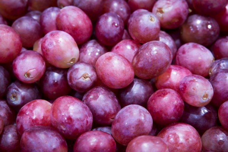 11 Makanan ini bantu mencegah batu ginjal, alami dan efektif