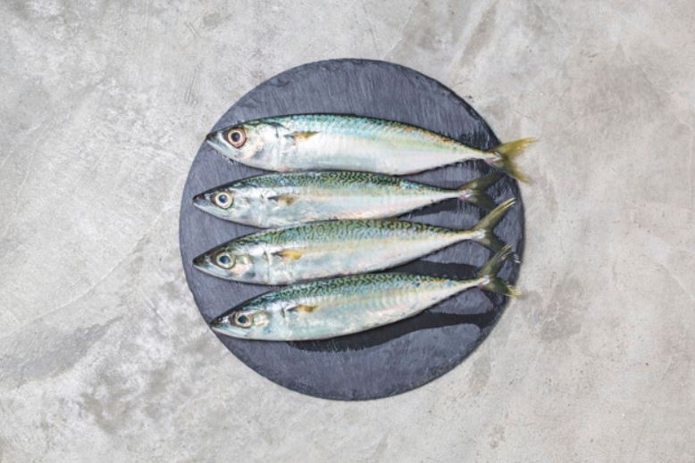 10 Manfaat ikan makarel bagi kesehatan, mencegah anemia
