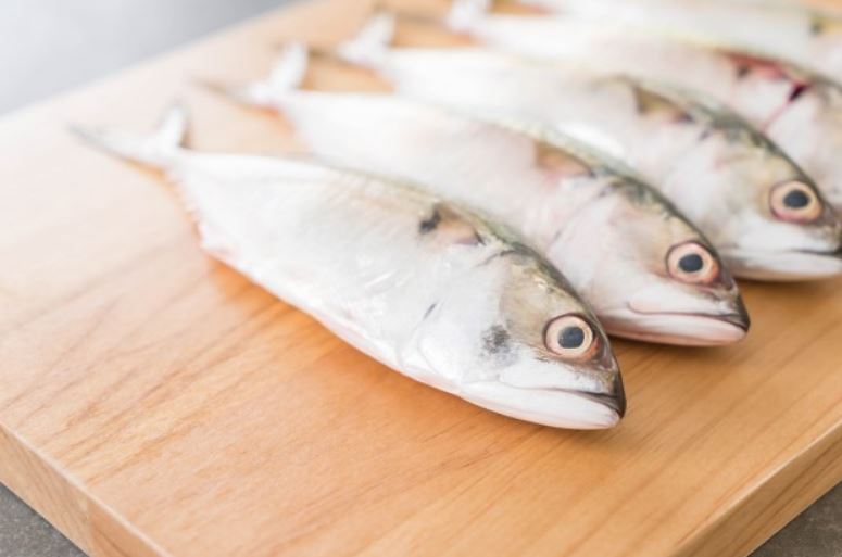 10 Manfaat ikan makarel bagi kesehatan, mencegah anemia