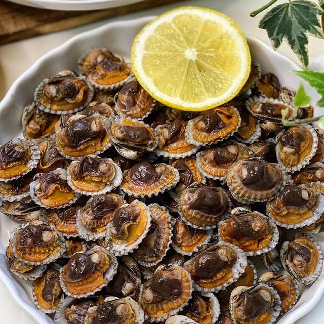 9 Jenis kerang ini aman dikonsumsi, baik buat penderita anemia