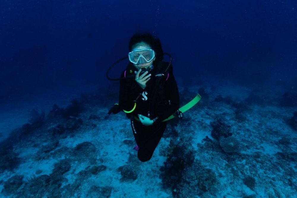 Momen 7 seleb diving di Labuan Bajo, Awkarin bertemu Penyu raksasa