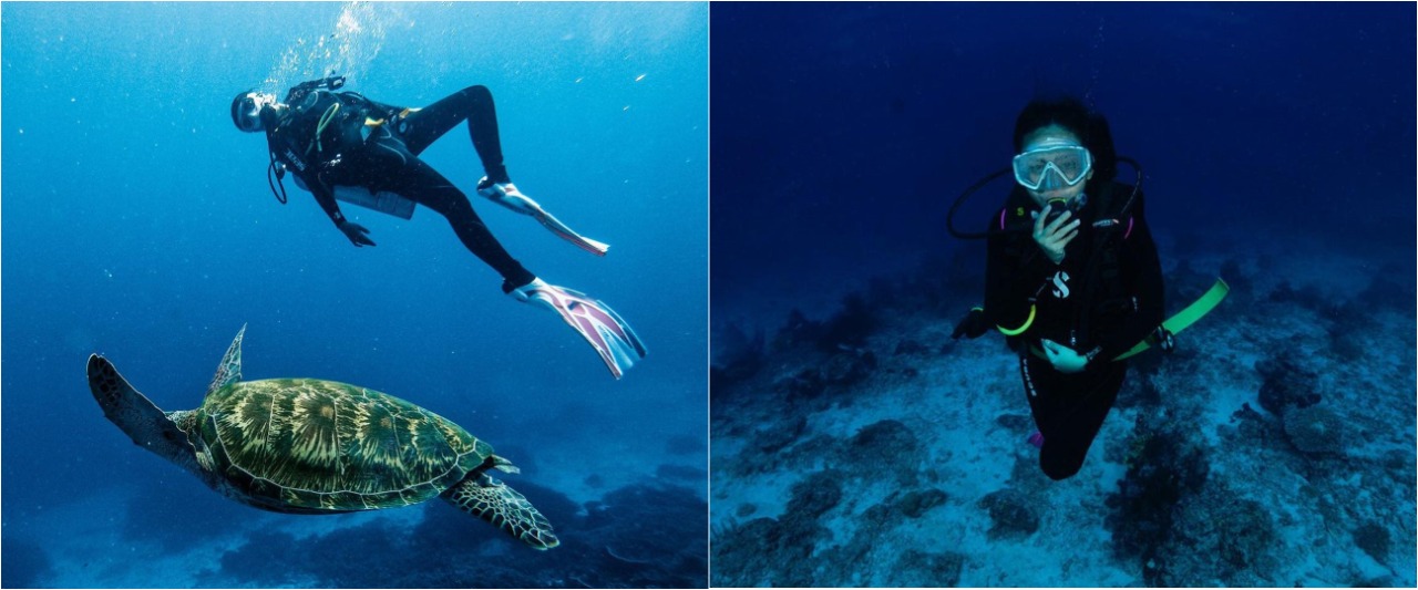 Momen 7 seleb diving di Labuan Bajo, Awkarin bertemu Penyu raksasa