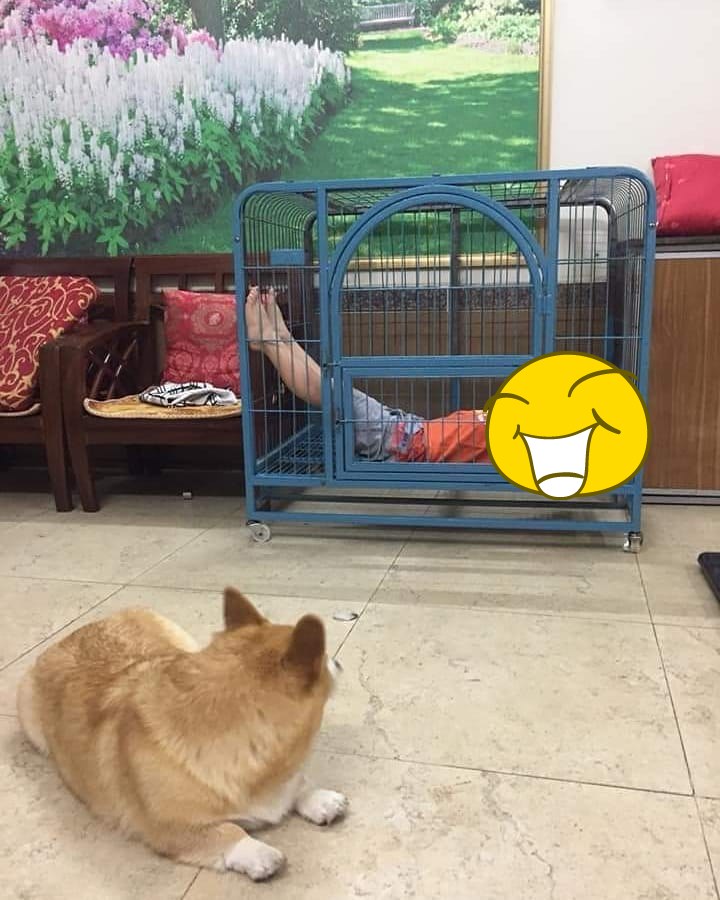 10 Momen lucu benda tertukar ini bikin lihat dua kali