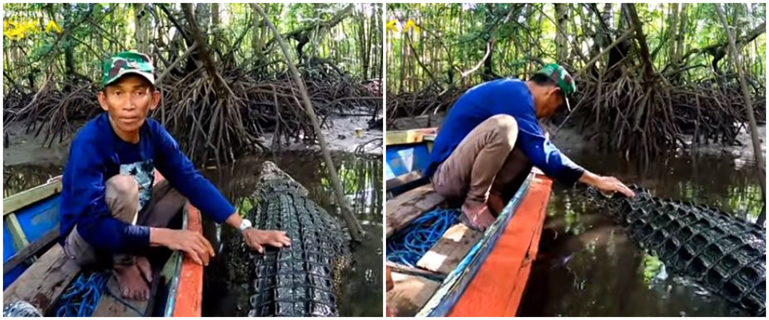 Penampakan buaya Riska usia 24 tahun yang dirawat Pak Ambo