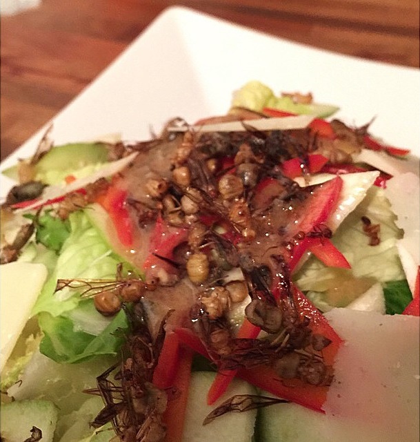 7 Menu makanan ini sajikan hewan yang masih hidup, antimainstream