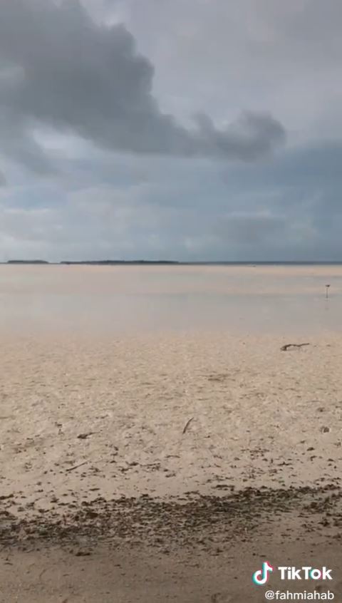 Viral pria berjalan di tengah pantai mengering, warganet auto panik