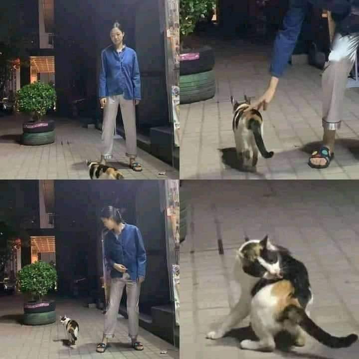 10 Momen lucu ada yang salah ini bikin lihat dua kali