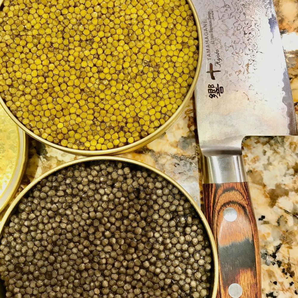 10 Bahan makanan ini dikenal mahal, ada yang ditaksir milyaran