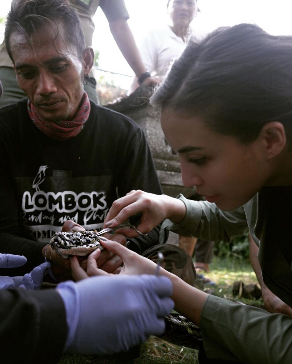 10 Momen Manohara saat jadi aktivis satwa liar, aksinya bikin salut