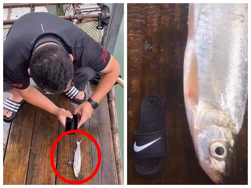 10 Momen lucu 'cuma trik foto' ini kreatifnya bikin geregetan