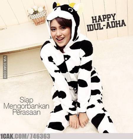 20 Meme lucu hewan kurban pas Idul Adha ini bikin baper