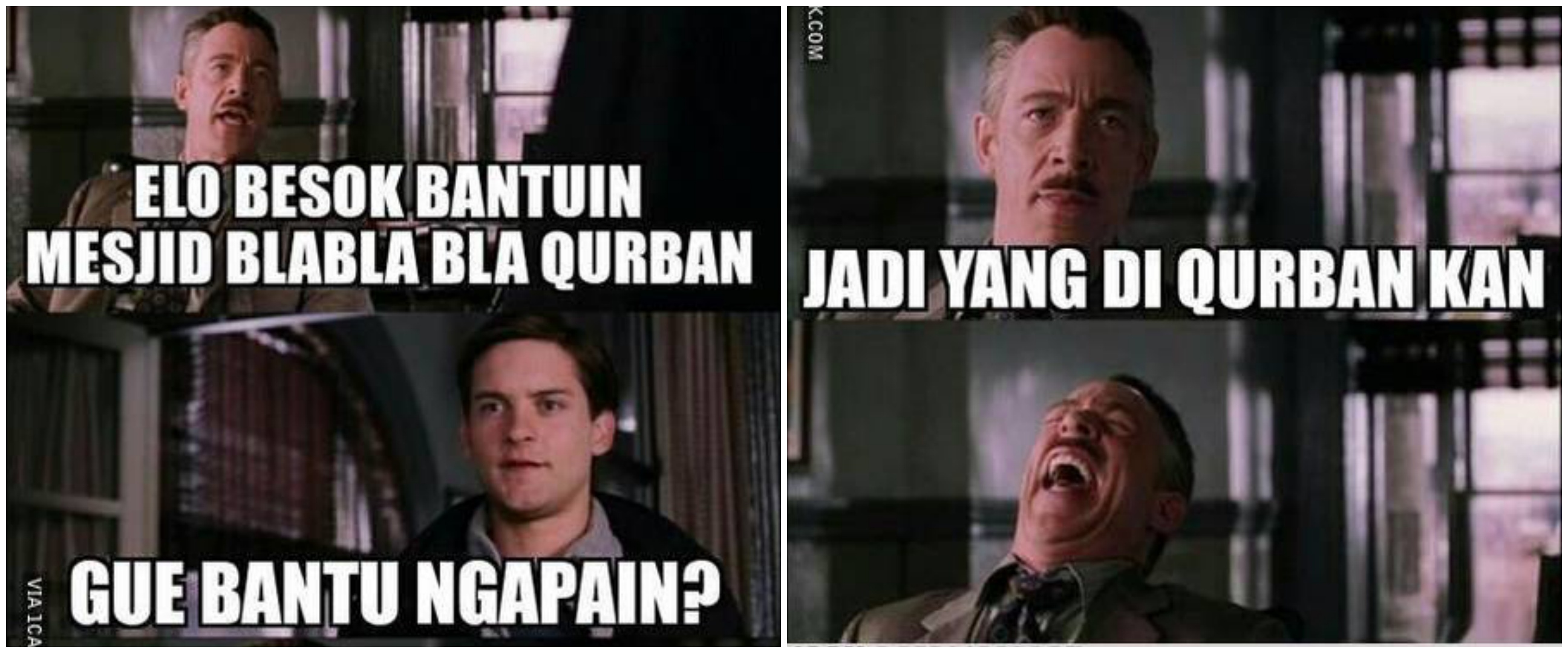 20 Meme lucu hewan kurban pas Idul Adha ini bikin baper