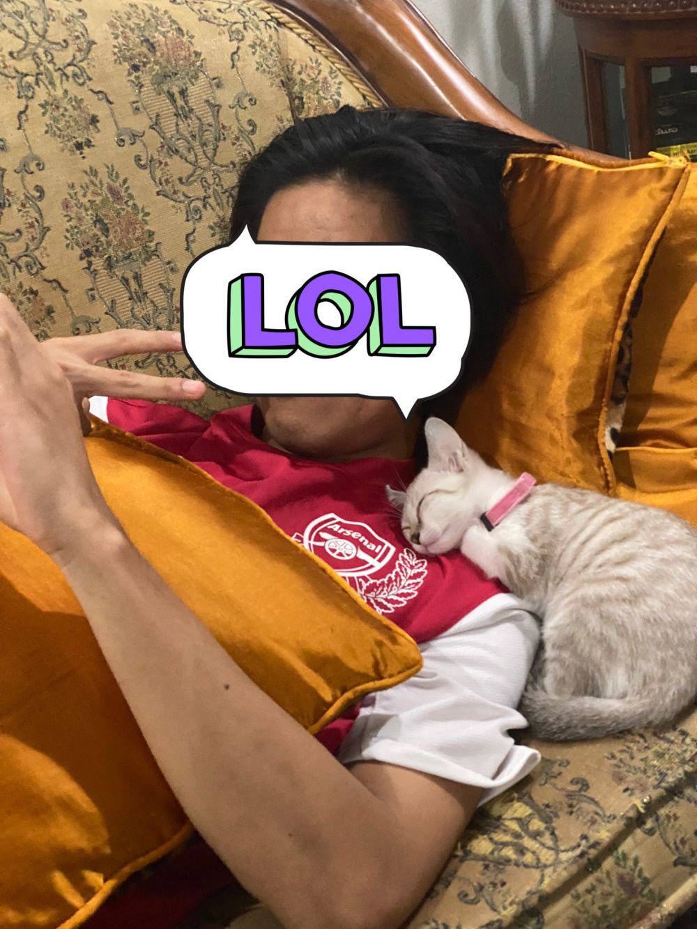 12 Potret lucu kucing lagi tidur ini posenya bikin gemas maksimal