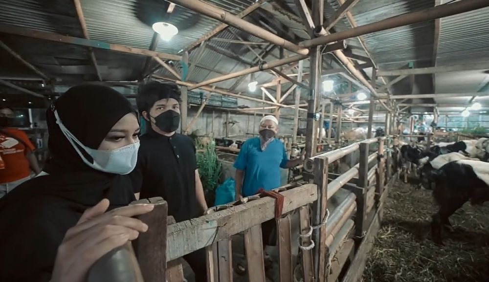 11 Momen Atta Halilintar dan Aurel beli hewan kurban, beratnya 1,4 ton