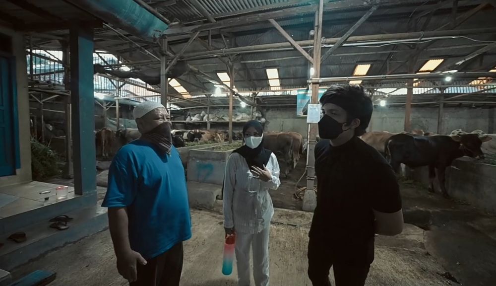 11 Momen Atta Halilintar dan Aurel beli hewan kurban, beratnya 1,4 ton