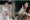 Jadi mantu menteri, ini 10 potret selebgram Rachel Theresia & suami