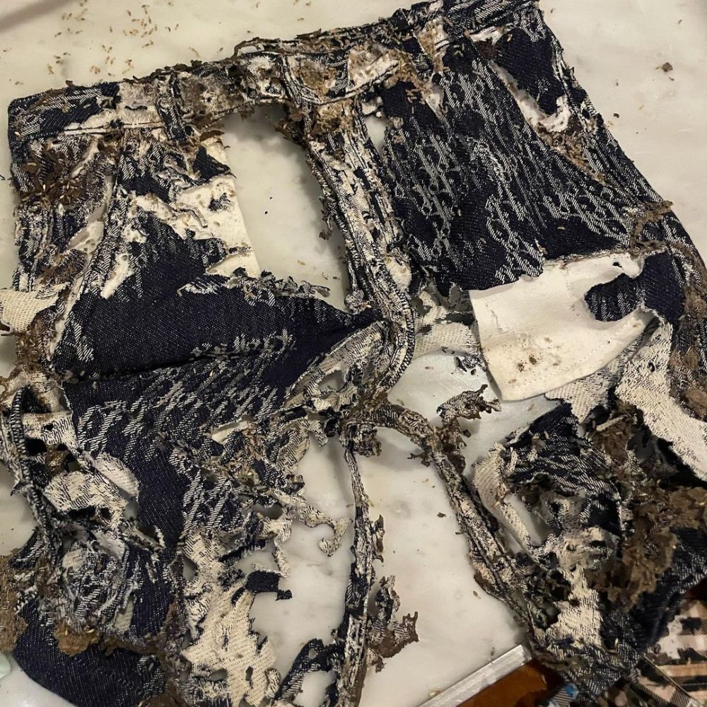 11 Potret baju branded anak Rachel Vennya dimakan rayap, nyesek banget