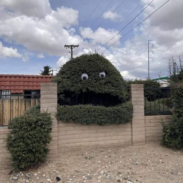 11 Penampakan benda di pohon ini absurdnya bikin lihat dua kali