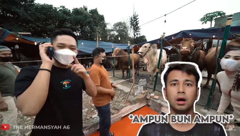 11 Momen keluarga Anang beli 3 sapi kurban, beratnya di atas 1 ton