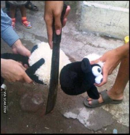 11 Potret lucu Hari Raya Kurban ala anak kos ini bikin nyengir