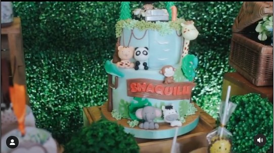 9 Momen Cut Meyriska & Roger rayakan ultah anak, tema kebun binatang