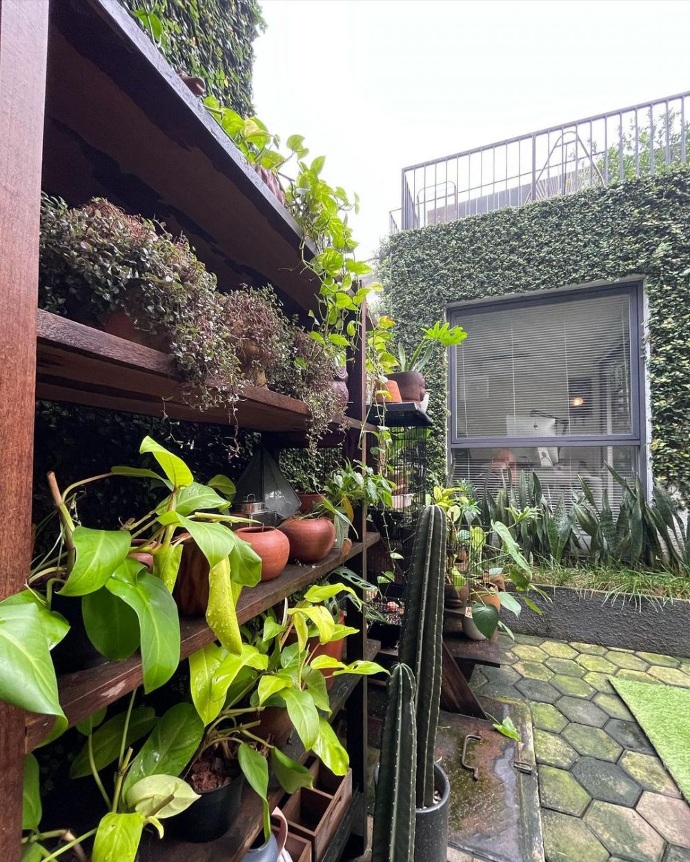 8 Potret halaman rumah Joko Anwar, ruang kerjanya menyatu backyard