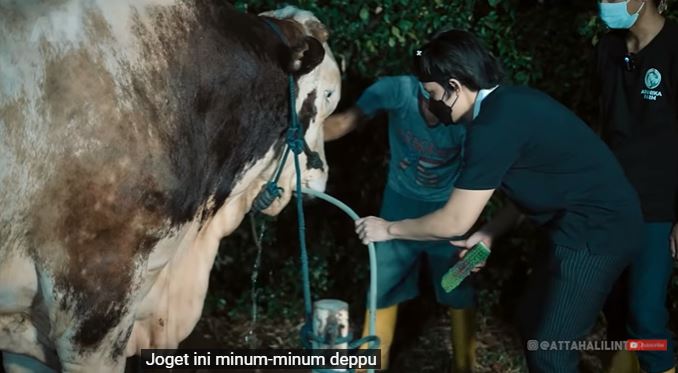 9 Momen Atta Halilintar rawat hewan kurbannya, ajak ke salon