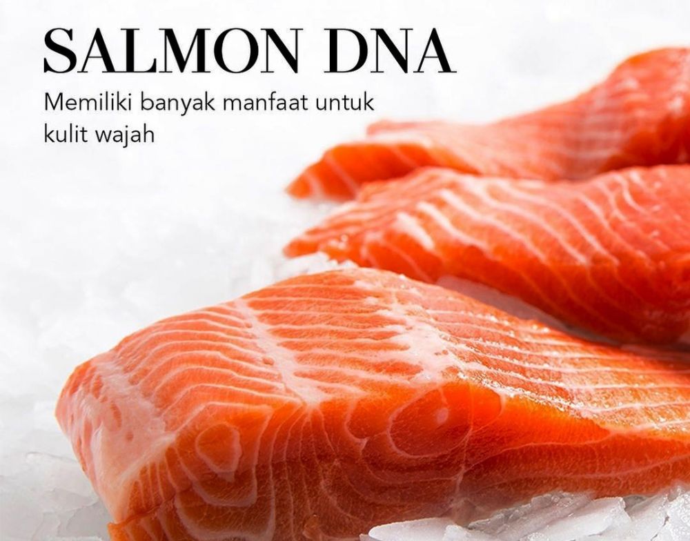 Salmon ahumado caducado