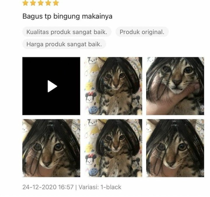 11 Potret lucu hewan di review belanjaan ini bikin tepuk jidat