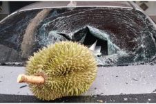 Viral durian jatuh tak sentuh tanah, dijual Rp 1,7 juta