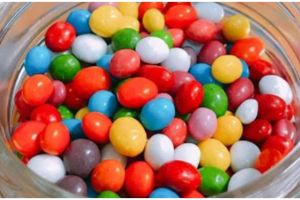 11 Makanan ini terinspirasi dari nama hewan, sudah coba?