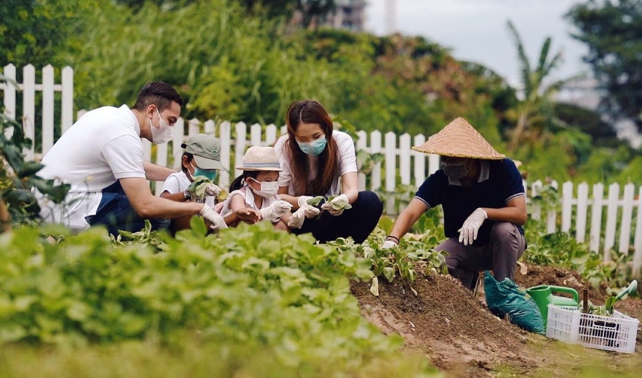 The Westin Surabaya donasi makanan sehat dari hasil kebun sendiri