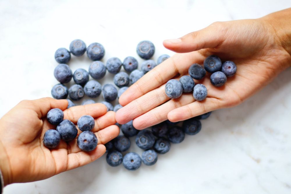 17 Manfaat blueberry untuk kesehatan dan kecantikan