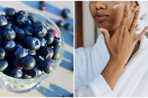 17 Manfaat blueberry untuk kesehatan dan kecantikan
