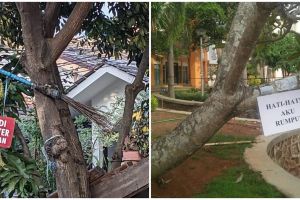 11 Pengumuman lucu di pohon ini absurdnya bikin melongo